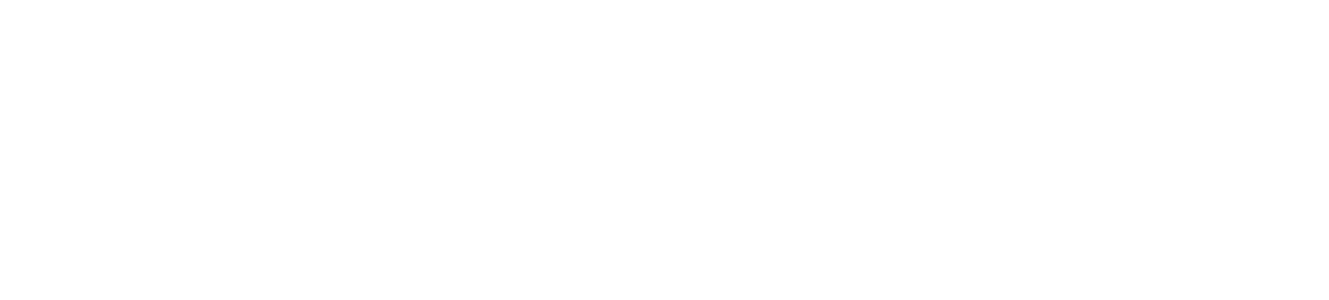 Mobilefest
